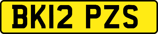 BK12PZS