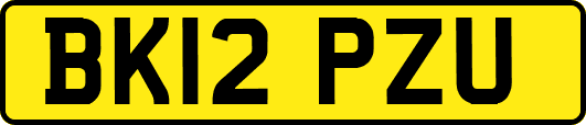 BK12PZU