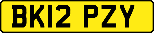 BK12PZY