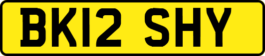 BK12SHY