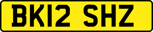 BK12SHZ