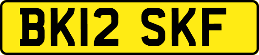 BK12SKF
