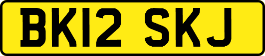 BK12SKJ