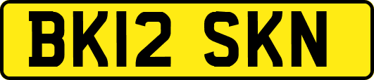 BK12SKN