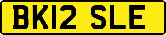 BK12SLE