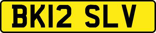 BK12SLV