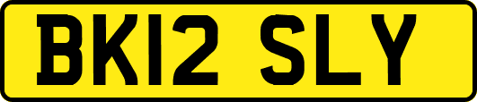 BK12SLY
