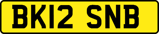 BK12SNB