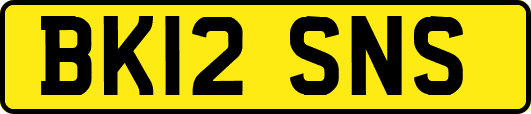 BK12SNS