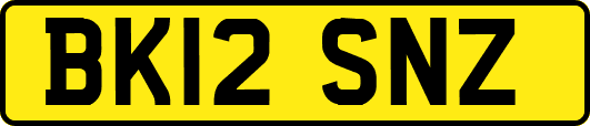 BK12SNZ