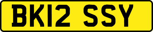 BK12SSY