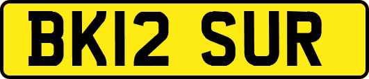 BK12SUR