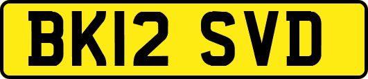 BK12SVD