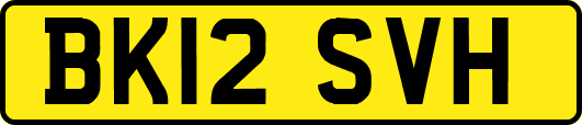 BK12SVH
