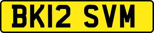 BK12SVM