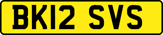 BK12SVS