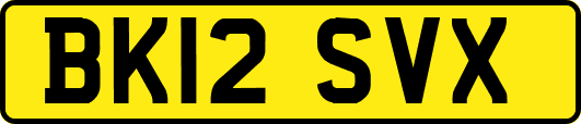 BK12SVX