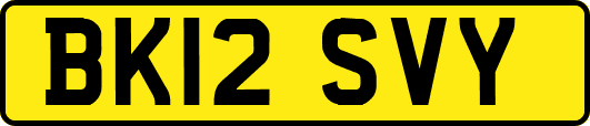 BK12SVY