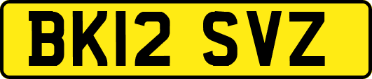BK12SVZ