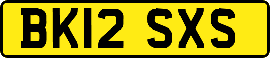 BK12SXS
