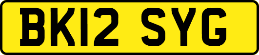 BK12SYG