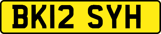 BK12SYH
