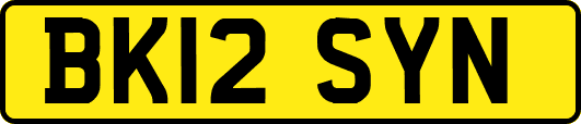 BK12SYN