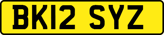 BK12SYZ
