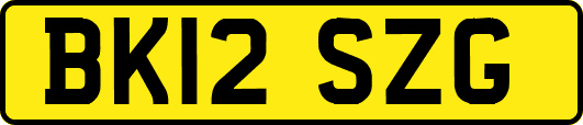 BK12SZG