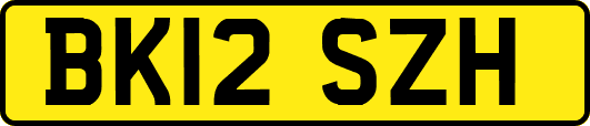 BK12SZH