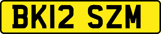 BK12SZM
