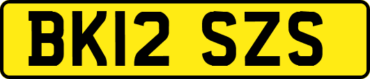 BK12SZS