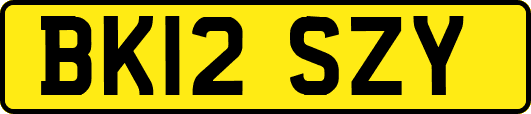 BK12SZY