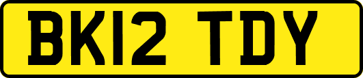 BK12TDY