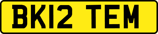 BK12TEM