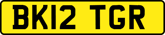 BK12TGR