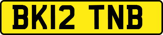 BK12TNB