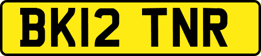 BK12TNR