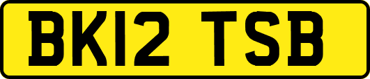 BK12TSB
