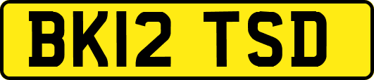 BK12TSD