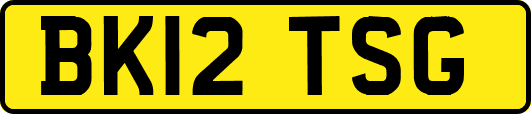 BK12TSG