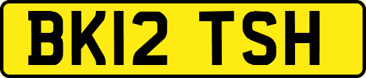 BK12TSH