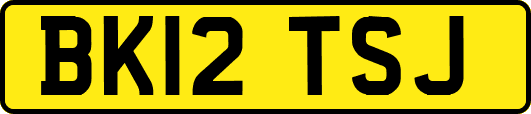BK12TSJ