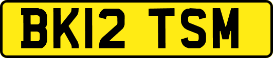 BK12TSM