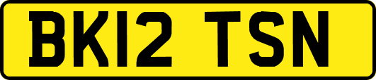 BK12TSN