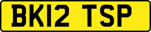 BK12TSP