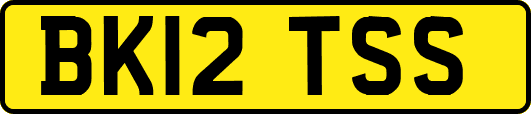 BK12TSS