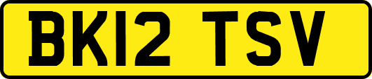 BK12TSV