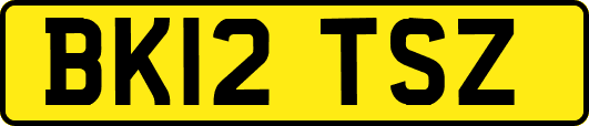 BK12TSZ