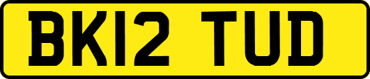 BK12TUD